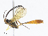  ( - CBG-A08728-A03)  @11 [ ] CreativeCommons - Attribution Share - Alike (2023) CBG Photography Group Centre for Biodiversity Genomics