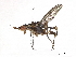  ( - CBG-A08766-A03)  @11 [ ] CreativeCommons - Attribution Share-Alike (2023) CBG Photography Group Centre for Biodiversity Genomics