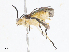  ( - CBG-A08766-B04)  @11 [ ] CreativeCommons - Attribution Share - Alike (2023) CBG Photography Group Centre for Biodiversity Genomics