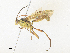  ( - CBG-A36822-G10)  @11 [ ] CreativeCommons - Attribution Share - Alike (2024) CBG Photography Group Centre for Biodiversity Genomics