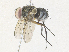  ( - CBG-A36830-D02)  @11 [ ] CreativeCommons - Attribution Share - Alike (2024) CBG Photography Group Centre for Biodiversity Genomics