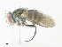  ( - CBG-A36830-D09)  @11 [ ] CreativeCommons - Attribution Share - Alike (2024) CBG Photography Group Centre for Biodiversity Genomics