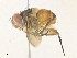  ( - CBG-A36830-H08)  @11 [ ] CreativeCommons - Attribution Share - Alike (2024) CBG Photography Group Centre for Biodiversity Genomics