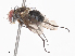  ( - CBG-A38415-E05)  @11 [ ] CreativeCommons - Attribution Share - Alike (2024) CBG Photography Group Centre for Biodiversity Genomics
