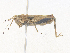  ( - CBG-A38465-B01)  @11 [ ] CreativeCommons - Attribution Share - Alike (2024) CBG Photography Group Centre for Biodiversity Genomics