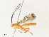  ( - CBG-A38466-C05)  @11 [ ] CreativeCommons - Attribution Share - Alike (2024) CBG Photography Group Centre for Biodiversity Genomics