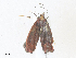  ( - CBG-A38467-E10)  @11 [ ] CreativeCommons - Attribution Share - Alike (2024) CBG Photography Group Centre for Biodiversity Genomics