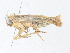  ( - CBG-A38467-F12)  @11 [ ] CreativeCommons - Attribution Share - Alike (2024) CBG Photography Group Centre for Biodiversity Genomics