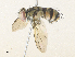  ( - CBG-A38468-G06)  @11 [ ] CreativeCommons - Attribution Share - Alike (2024) CBG Photography Group Centre for Biodiversity Genomics