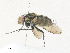 ( - CBG-A38469-A05)  @11 [ ] CreativeCommons - Attribution Share - Alike (2024) CBG Photography Group Centre for Biodiversity Genomics
