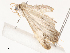  ( - CBG-A51871-F11)  @11 [ ] CreativeCommons - Attribution Share - Alike (2024) CBG Photography Group Centre for Biodiversity Genomics