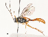  ( - CBG-A51872-C10)  @11 [ ] CreativeCommons - Attribution Share - Alike (2024) CBG Photography Group Centre for Biodiversity Genomics