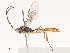  ( - CBG-A51872-D02)  @11 [ ] CreativeCommons - Attribution Share - Alike (2024) CBG Photography Group Centre for Biodiversity Genomics