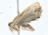  ( - BIOUG76543-C11)  @11 [ ] CreativeCommons - Attribution (2022) CBG Photography Group Centre for Biodiversity Genomics