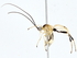  ( - BIOUG76543-E10)  @11 [ ] CreativeCommons - Attribution (2022) CBG Photography Group Centre for Biodiversity Genomics