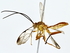  ( - BIOUG76544-A06)  @11 [ ] CreativeCommons - Attribution (2022) CBG Photography Group Centre for Biodiversity Genomics