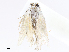  ( - CBG-A07090-G04)  @11 [ ] CreativeCommons - Attribution Share - Alike (2023) CBG Photography Group Centre for Biodiversity Genomics