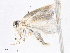  ( - CBG-A07090-G06)  @11 [ ] CreativeCommons - Attribution Share - Alike (2023) CBG Photography Group Centre for Biodiversity Genomics