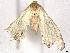  ( - CBG-A07090-G11)  @11 [ ] CreativeCommons - Attribution Share - Alike (2023) CBG Photography Group Centre for Biodiversity Genomics