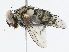  (Houghia Janzen6886 - CBG-A07092-E01)  @11 [ ] CreativeCommons - Attribution Share - Alike (2023) CBG Photography Group Centre for Biodiversity Genomics