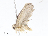  ( - CBG-A07092-G11)  @11 [ ] CreativeCommons - Attribution Share - Alike (2023) CBG Photography Group Centre for Biodiversity Genomics