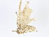  ( - CBG-A08729-D08)  @11 [ ] CreativeCommons - Attribution Share - Alike (2023) CBG Photography Group Centre for Biodiversity Genomics