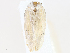  ( - CBG-A08729-F03)  @11 [ ] CreativeCommons - Attribution Share - Alike (2023) CBG Photography Group Centre for Biodiversity Genomics