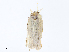  ( - CBG-A08730-C11)  @11 [ ] CreativeCommons - Attribution Share - Alike (2023) CBG Photography Group Centre for Biodiversity Genomics