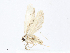  ( - CBG-A08730-E05)  @11 [ ] CreativeCommons - Attribution Share - Alike (2023) CBG Photography Group Centre for Biodiversity Genomics
