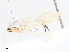  ( - CBG-A08730-F01)  @11 [ ] CreativeCommons - Attribution Share - Alike (2023) CBG Photography Group Centre for Biodiversity Genomics
