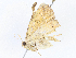  ( - CBG-A08731-B07)  @11 [ ] CreativeCommons - Attribution Share - Alike (2023) CBG Photography Group Centre for Biodiversity Genomics