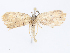  ( - CBG-A08790-F08)  @11 [ ] CreativeCommons - Attribution Share - Alike (2023) CBG Photography Group Centre for Biodiversity Genomics