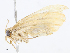  ( - CBG-A08791-E05)  @11 [ ] CreativeCommons - Attribution Share - Alike (2023) CBG Photography Group Centre for Biodiversity Genomics