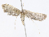  ( - CBG-A08791-F06)  @11 [ ] CreativeCommons - Attribution Share - Alike (2023) CBG Photography Group Centre for Biodiversity Genomics