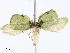  ( - CBG-A08791-F08)  @11 [ ] CreativeCommons - Attribution Share - Alike (2023) CBG Photography Group Centre for Biodiversity Genomics