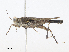  ( - CBG-A08792-E09)  @11 [ ] CreativeCommons - Attribution Share - Alike (2023) CBG Photography Group Centre for Biodiversity Genomics