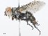  ( - CBG-A08792-F08)  @11 [ ] CreativeCommons - Attribution Share - Alike (2023) CBG Photography Group Centre for Biodiversity Genomics
