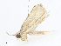  ( - CBG-A08793-C06)  @11 [ ] CreativeCommons - Attribution Share - Alike (2023) CBG Photography Group Centre for Biodiversity Genomics