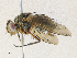  ( - CBG-A30959-D03)  @11 [ ] CreativeCommons - Attribution Share - Alike (2024) CBG Photography Group Centre for Biodiversity Genomics