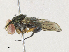  ( - CBG-A30977-G04)  @11 [ ] CreativeCommons - Attribution Share - Alike (2024) CBG Photography Group Centre for Biodiversity Genomics