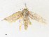  ( - CBG-A30978-D10)  @11 [ ] CreativeCommons - Attribution Share - Alike (2024) CBG Photography Group Centre for Biodiversity Genomics