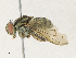  ( - CBG-A30979-D06)  @11 [ ] CreativeCommons - Attribution Share - Alike (2024) CBG Photography Group Centre for Biodiversity Genomics