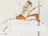  ( - CBG-A30979-E03)  @11 [ ] CreativeCommons - Attribution Share - Alike (2024) CBG Photography Group Centre for Biodiversity Genomics