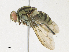  ( - CBG-A30979-F09)  @11 [ ] CreativeCommons - Attribution Share - Alike (2024) CBG Photography Group Centre for Biodiversity Genomics