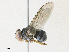  ( - CBG-A30979-G09)  @11 [ ] CreativeCommons - Attribution Share - Alike (2024) CBG Photography Group Centre for Biodiversity Genomics