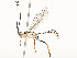  ( - CBG-A54493-D02)  @11 [ ] CreativeCommons - Attribution Share - Alike (2024) CBG Photography Group Centre for Biodiversity Genomics