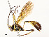  ( - CBG-A51968-D12)  @11 [ ] CreativeCommons - Attribution Share - Alike (2024) CBG Photography Group Centre for Biodiversity Genomics