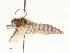  ( - CBG-A51969-E11)  @11 [ ] CreativeCommons - Attribution Share - Alike (2024) CBG Photography Group Centre for Biodiversity Genomics