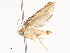  ( - CBG-A58601-H03)  @11 [ ] CreativeCommons - Attribution Share - Alike (2024) CBG Photography Group Centre for Biodiversity Genomics