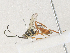  ( - CBG-A36778-F05)  @11 [ ] CreativeCommons - Attribution Share - Alike (2024) CBG Photography Group Centre for Biodiversity Genomics